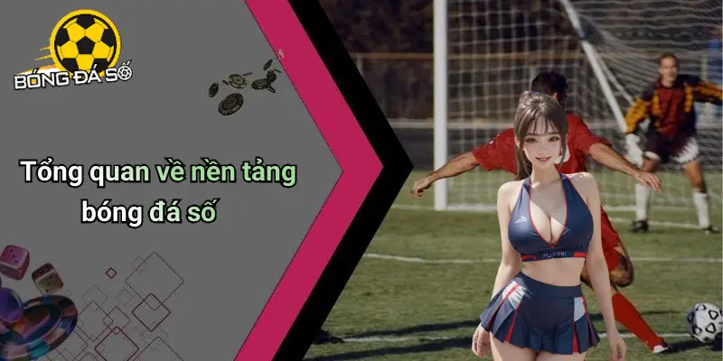Bóng đá số 67 Bóng Đá Số