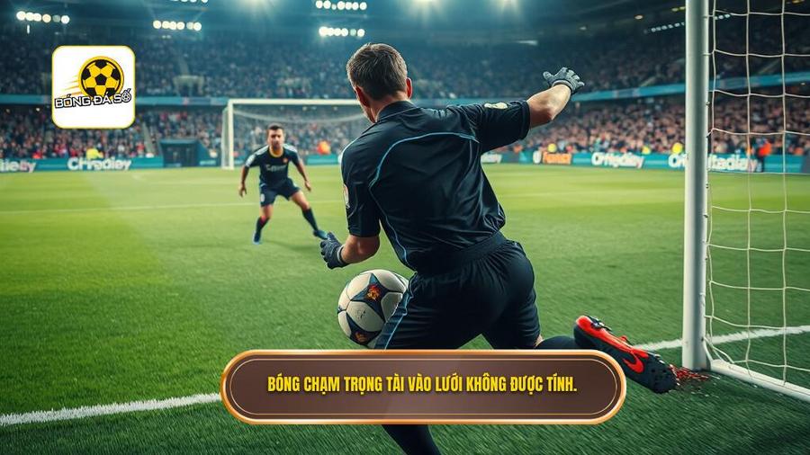 Bóng chạm trọng tài vào lưới không được tính.